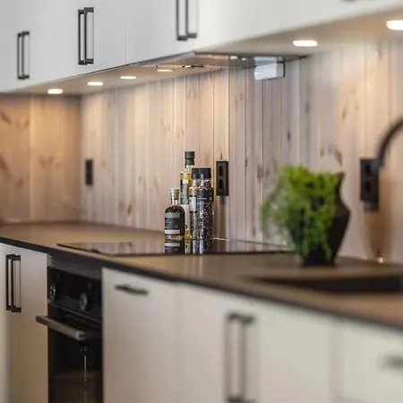 Brand New Luxury By The Slopes, Apartman Hemsedal